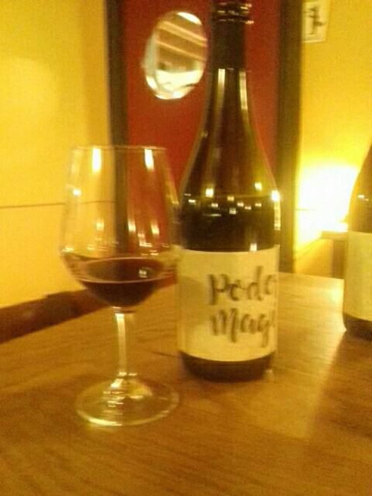 Lambrusco dell’Emilia Igt - Podere Magia - Stefano Pescarmona 