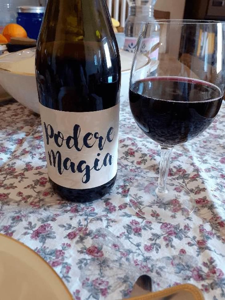 Lambrusco dell’Emilia Igt - Podere Magia - Stefano Pescarmona 