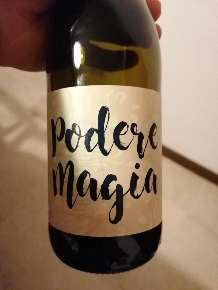 Lambrusco dell’Emilia Igt - Podere Magia - Stefano Pescarmona 