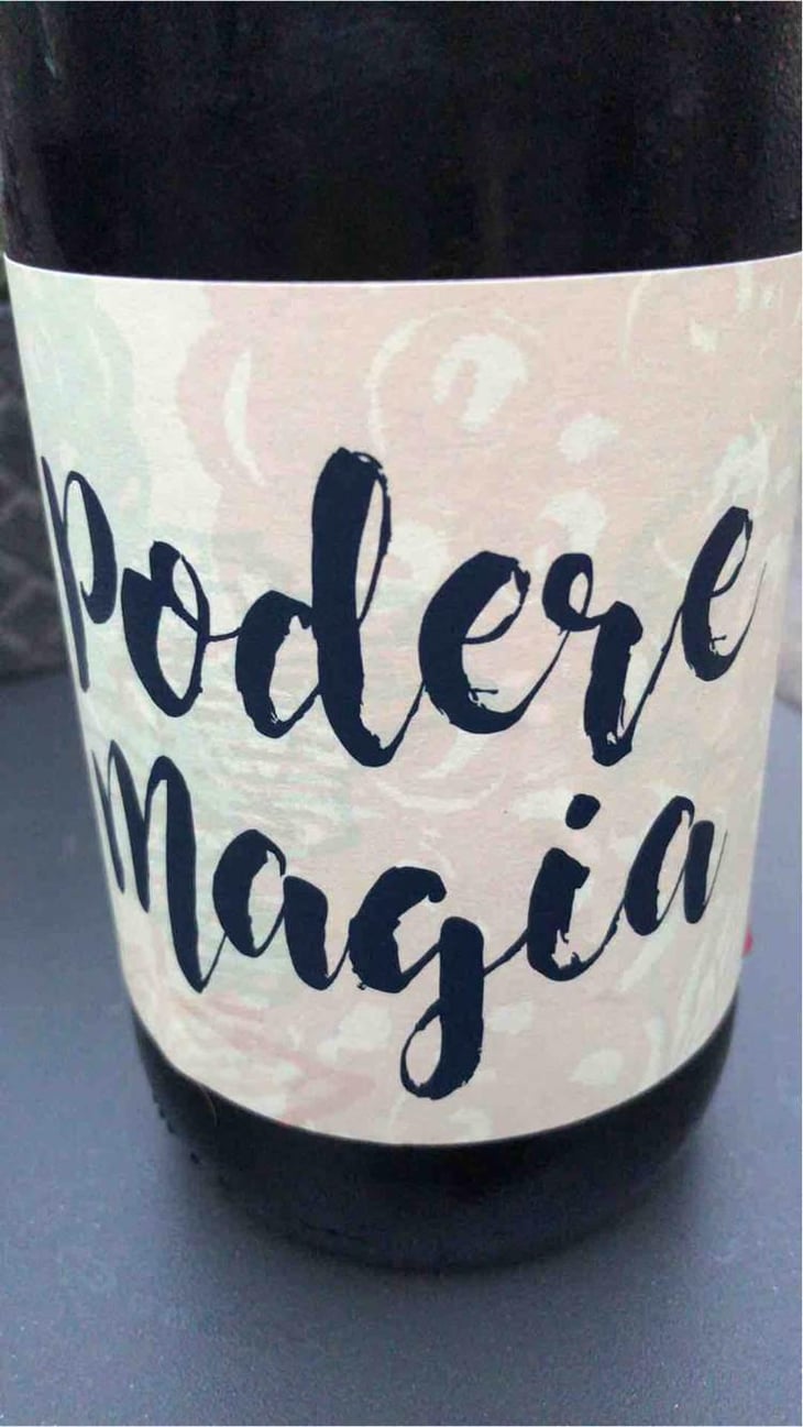 Lambrusco dell’Emilia Igt - Podere Magia - Stefano Pescarmona 