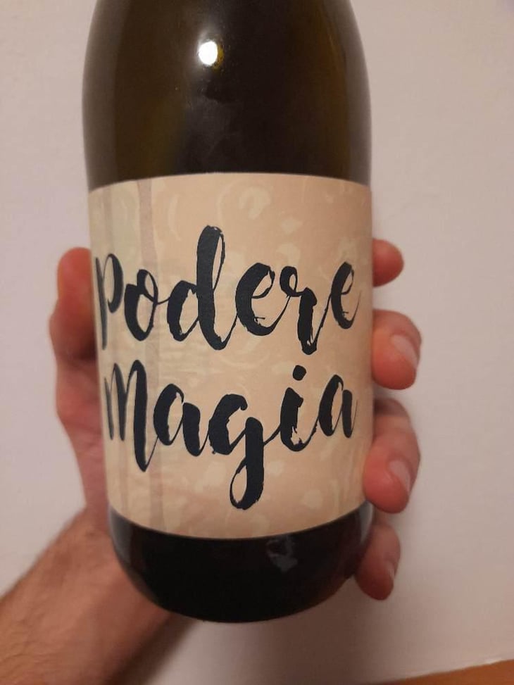 Lambrusco dell’Emilia Igt - Podere Magia - Stefano Pescarmona 