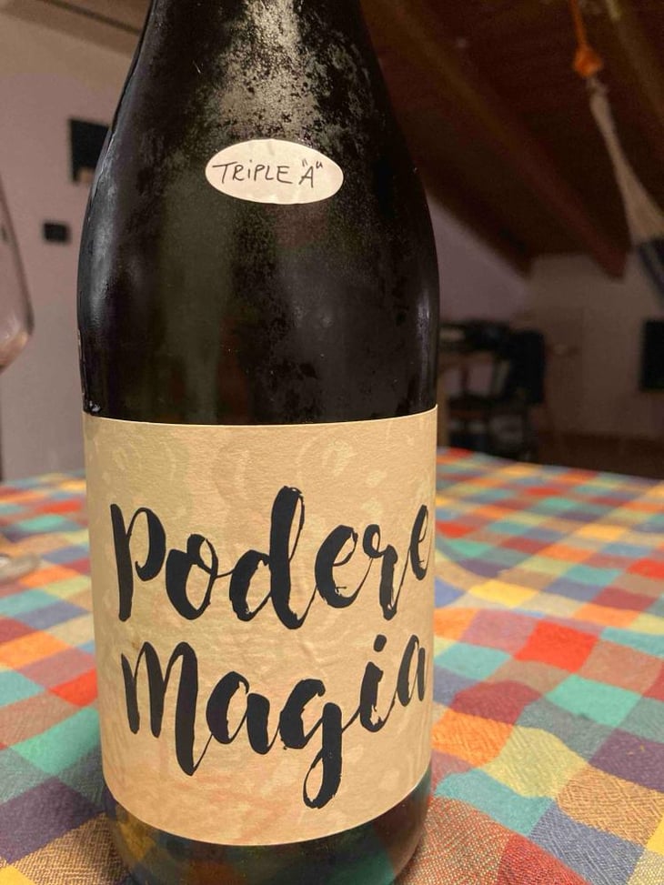 Lambrusco dell’Emilia Igt - Podere Magia - Stefano Pescarmona 