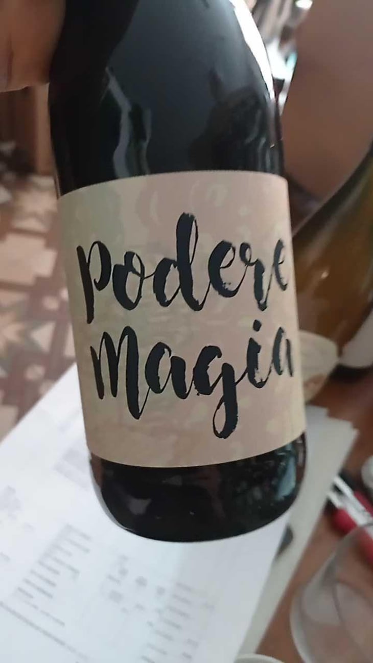 Lambrusco dell’Emilia Igt - Podere Magia - Stefano Pescarmona 