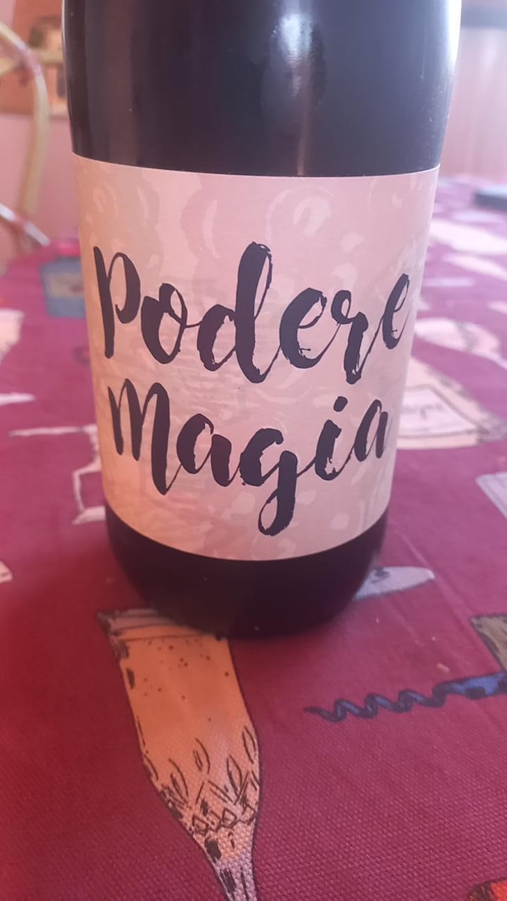 Lambrusco dell’Emilia Igt - Podere Magia - Stefano Pescarmona 