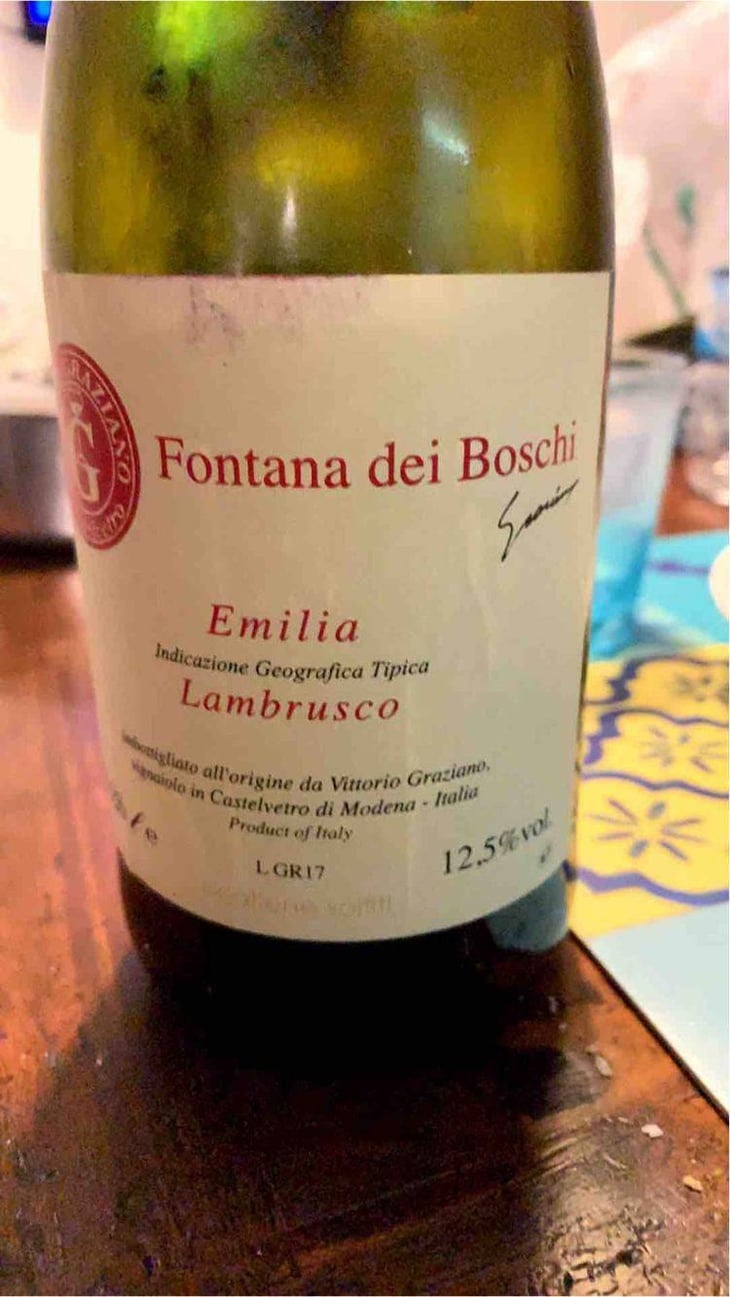 Lambrusco - Fontana dei Boschi - Vittorio Graziano 