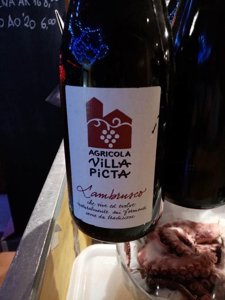 Lambrusco Villa Picta - Villa Picta - Paolo Pasini -2020
