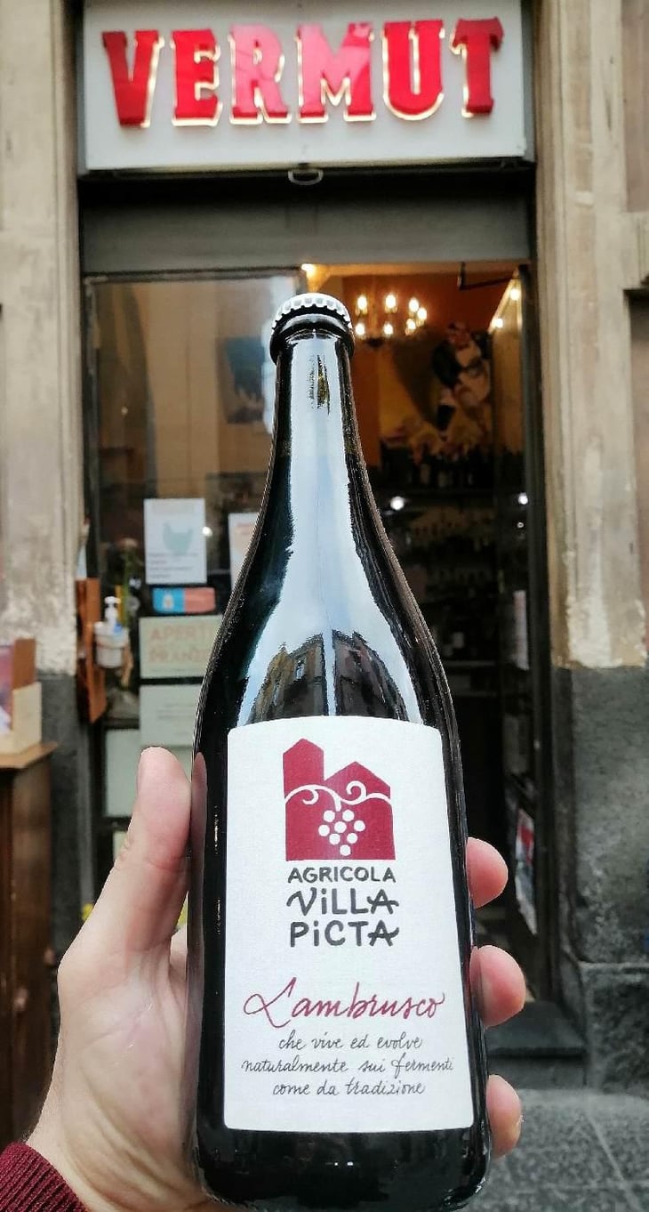 Lambrusco Villa Picta - Villa Picta - Paolo Pasini -2020