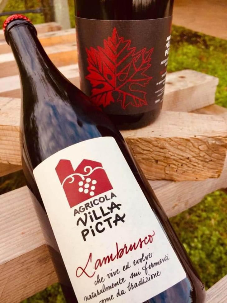 Lambrusco Villa Picta - Villa Picta - Paolo Pasini -2020