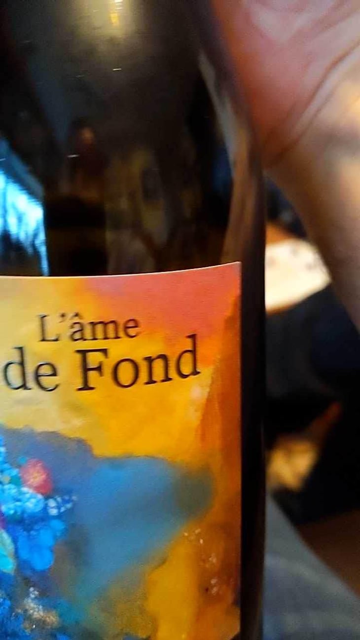 L'Âme de Fond - Le Fief Noir - Dominique Sirot & Alexis Soulas 