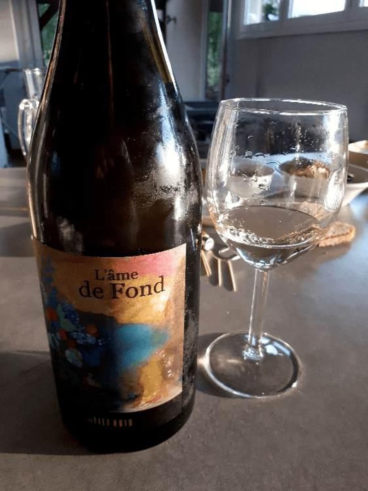 L'Âme de Fond - Le Fief Noir - Dominique Sirot & Alexis Soulas 