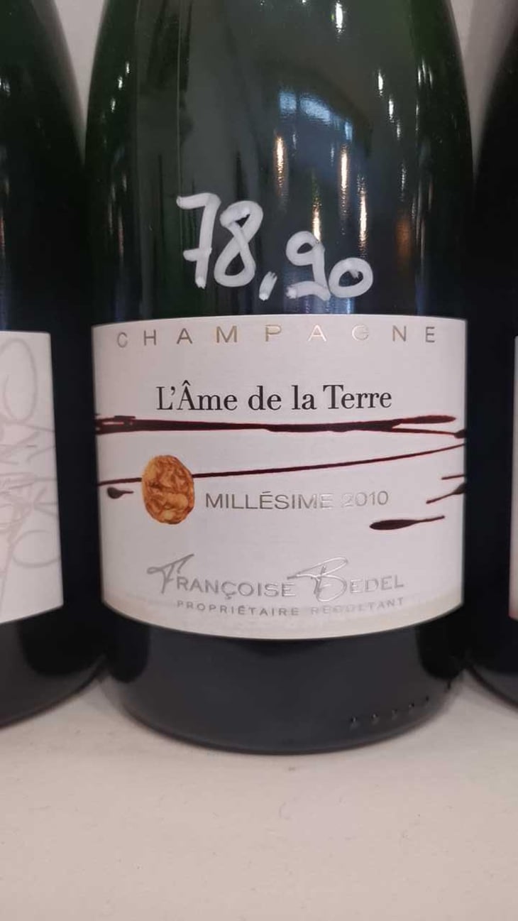 L'Ame de la Terre - Françoise Bedel - Françoise Bedel 