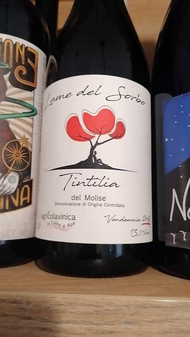 Lame del Sorbo - Merlot del Molise - Azienda Agricolavinica - Rodolfo Gianserra e Giuseppe Tudino 