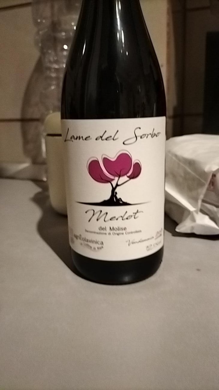 Lame del Sorbo - Merlot del Molise - Azienda Agricolavinica - Rodolfo Gianserra e Giuseppe Tudino 
