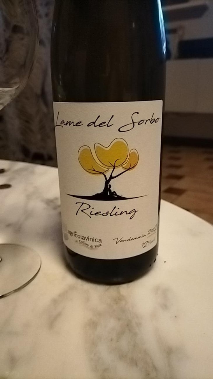 Lame del Sorbo Riesling - Azienda Agricolavinica - Rodolfo Gianserra e Giuseppe Tudino 