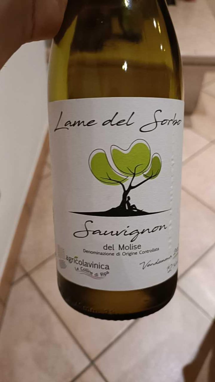 Lame del Sorbo - Sauvignon - Azienda Agricolavinica - Rodolfo Gianserra e Giuseppe Tudino 