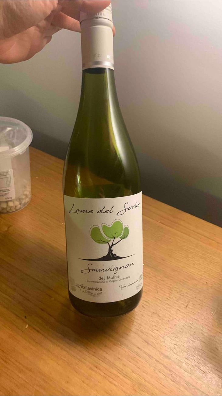 Lame del Sorbo - Sauvignon - Azienda Agricolavinica - Rodolfo Gianserra e Giuseppe Tudino 