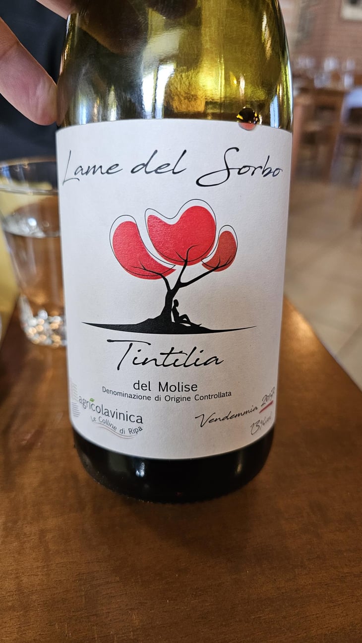 Lame del Sorbo - Tintilia del Molise Rosso - Azienda Agricolavinica - Rodolfo Gianserra e Giuseppe Tudino 
