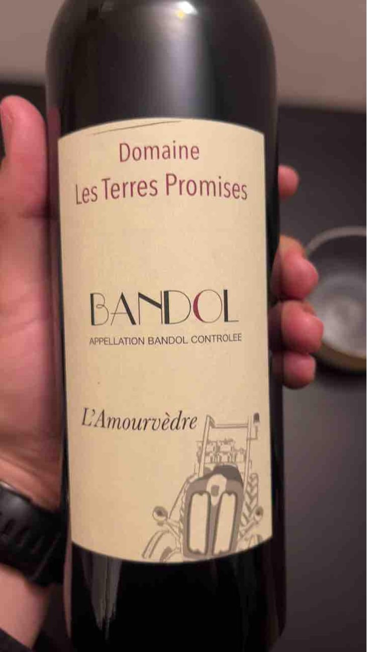 L'Amourvèdre - Les Terres Promises - Jean-Christophe Comor 