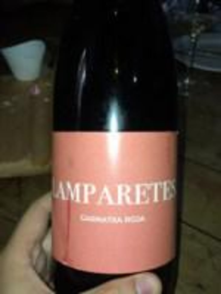 Lamparetes - Vins de Grop - Vins de Grop 