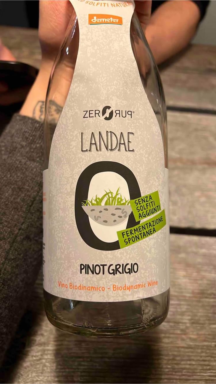 Landae - Cantina Orsogna [BIO_ORGANIC] - Cantina Orsogna 