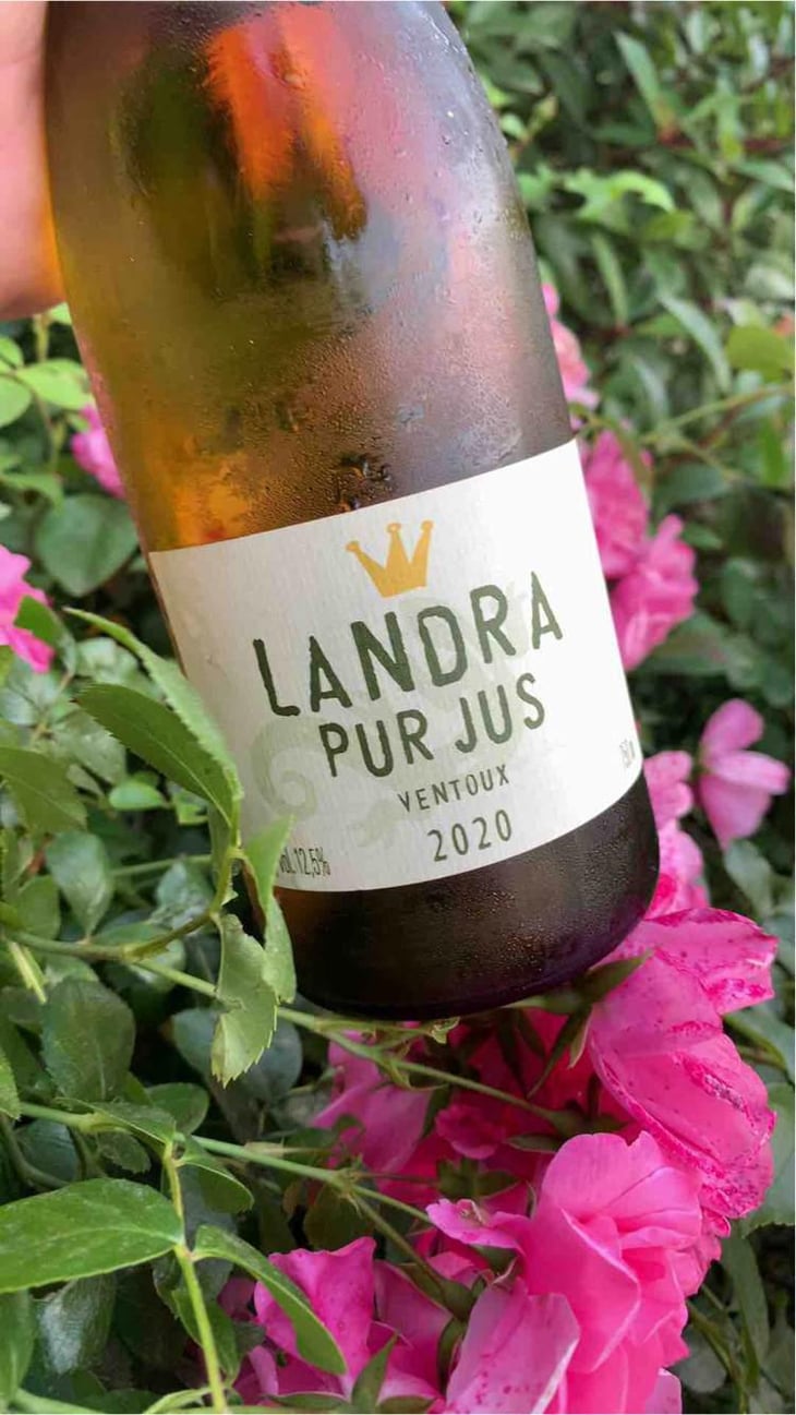 Landra Pur Jus (Blanc) - Château Landra - Cécile & Frédéric Renoux 