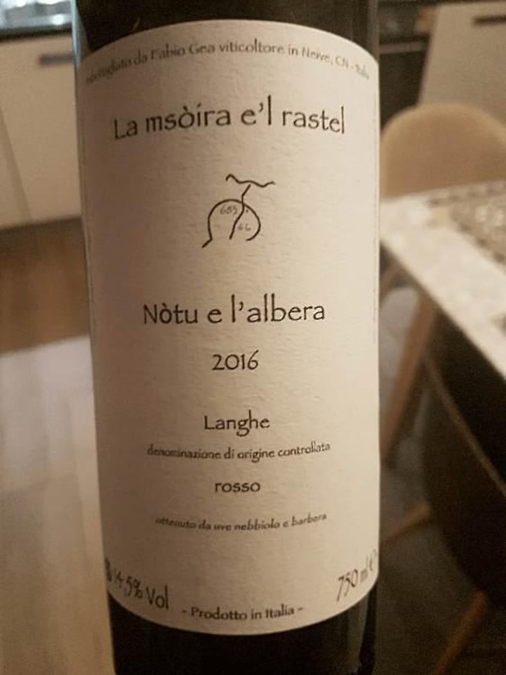 Langhe - "Nòtu e l'Albera" - Azienda Agricola Fabio Gea - Fabio Gea 