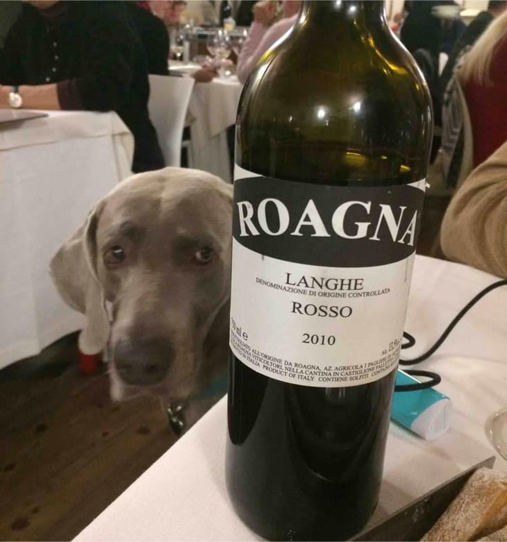 Langhe Rosso - Azienda Agricola i Paglieri - Luca & Alfredo Roagna 