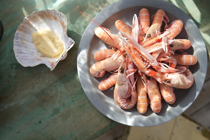 Langoustines Du Guilvinec - Kalypso - 780050