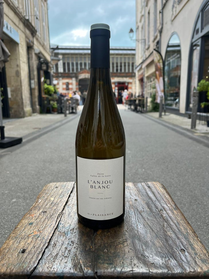L'Anjou Blanc - Château de Plaisance - Vanessa Cherruau 