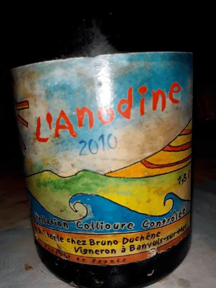 L'Anodine - Bruno Duchêne - Bruno Duchêne 