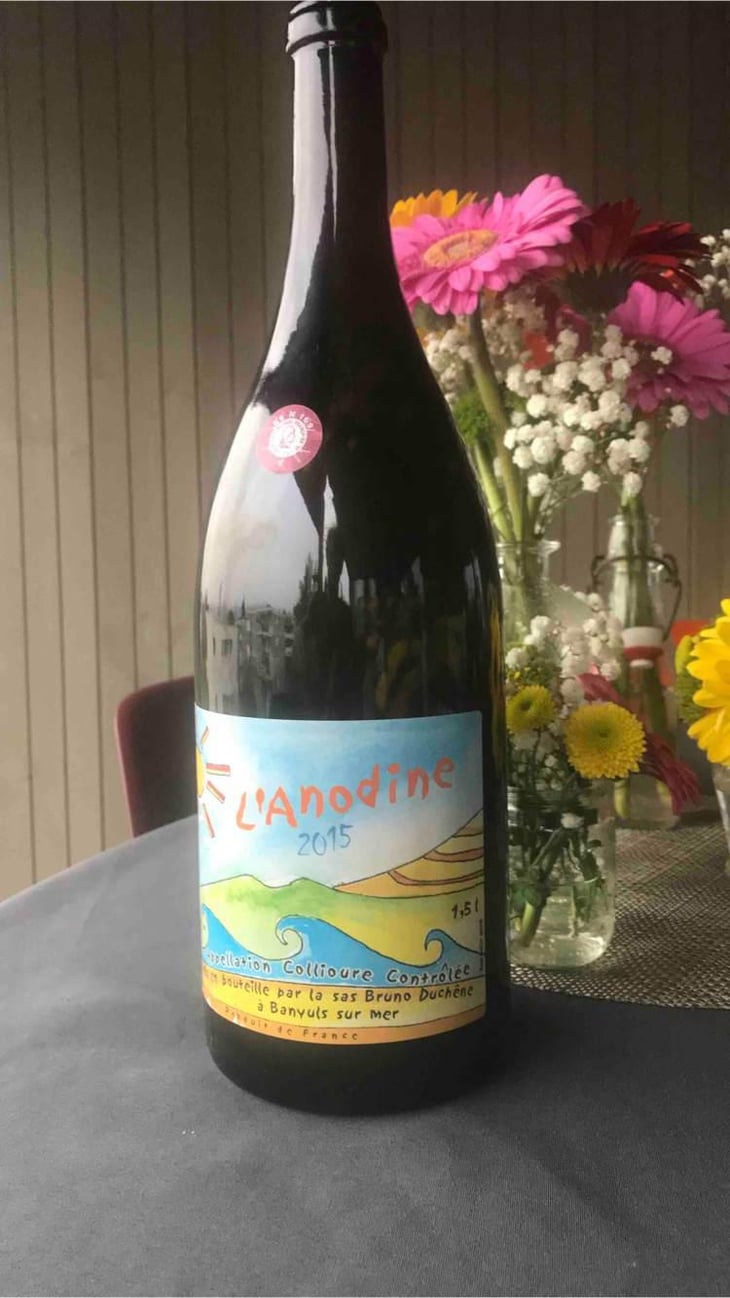L'Anodine - Bruno Duchêne - Bruno Duchêne 