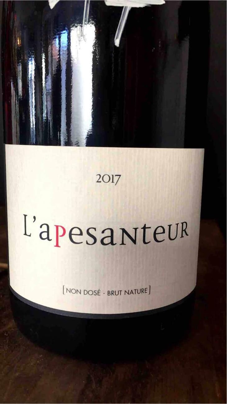 L’Apesanteur - Les Terres Promises - Jean-Christophe Comor 