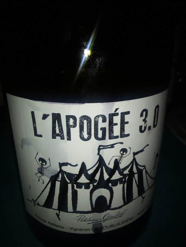 L'apogée 3.0 - Domaine de la Tourlaudière - Romain Petiteau -2016