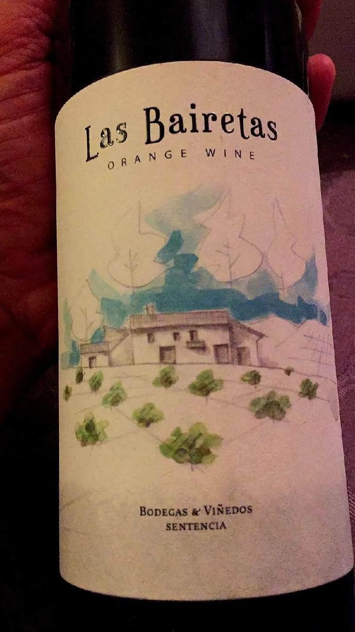 Las Bairetas - Bodega y Viñedos Sentencia - Alberto Pedron 