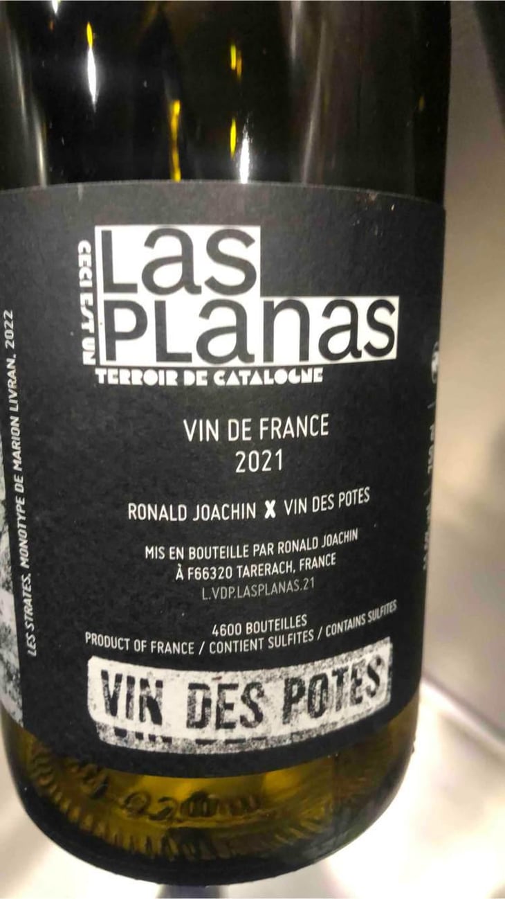 Las Planas - Ronald Joachin - Ronald Joachin -2021