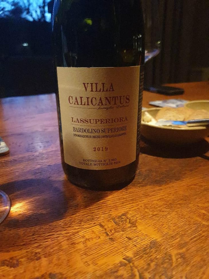LASSUPERIORA - Villa Calicantus - Daniele e Chiara Delaini 