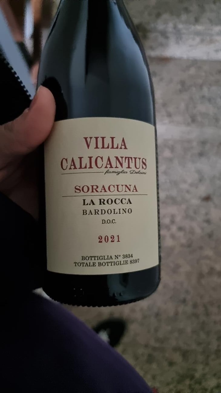 LASSUPERIORA - Villa Calicantus - Daniele e Chiara Delaini 