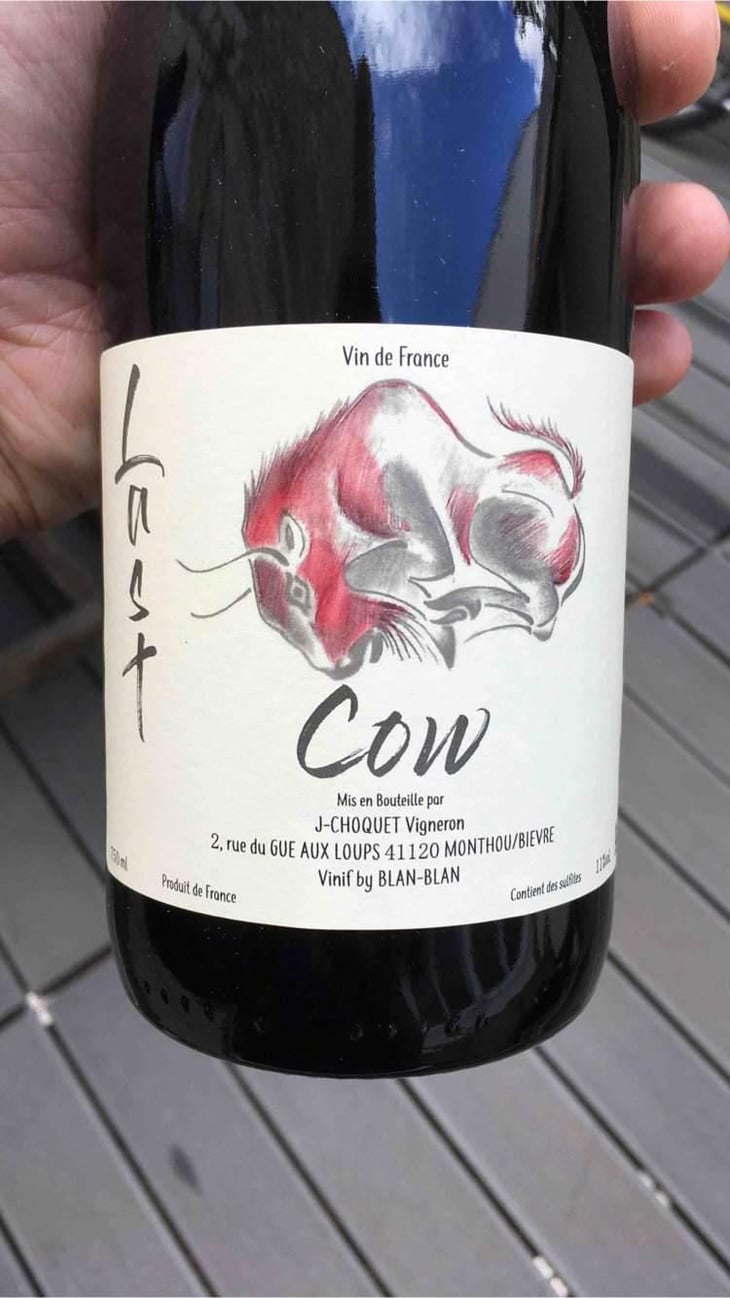 Last Cow - Le Chat Huant - Blandine Floch 