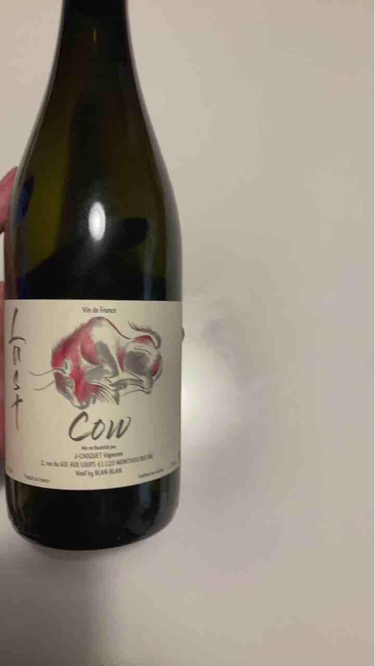 Last Cow - Le Chat Huant - Blandine Floch 