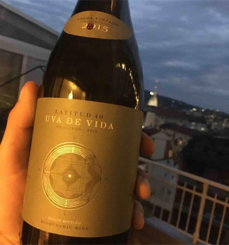 Latitud 40 Crianza - Uva de Vida - Carmen Lopez, Luis Ruiz 