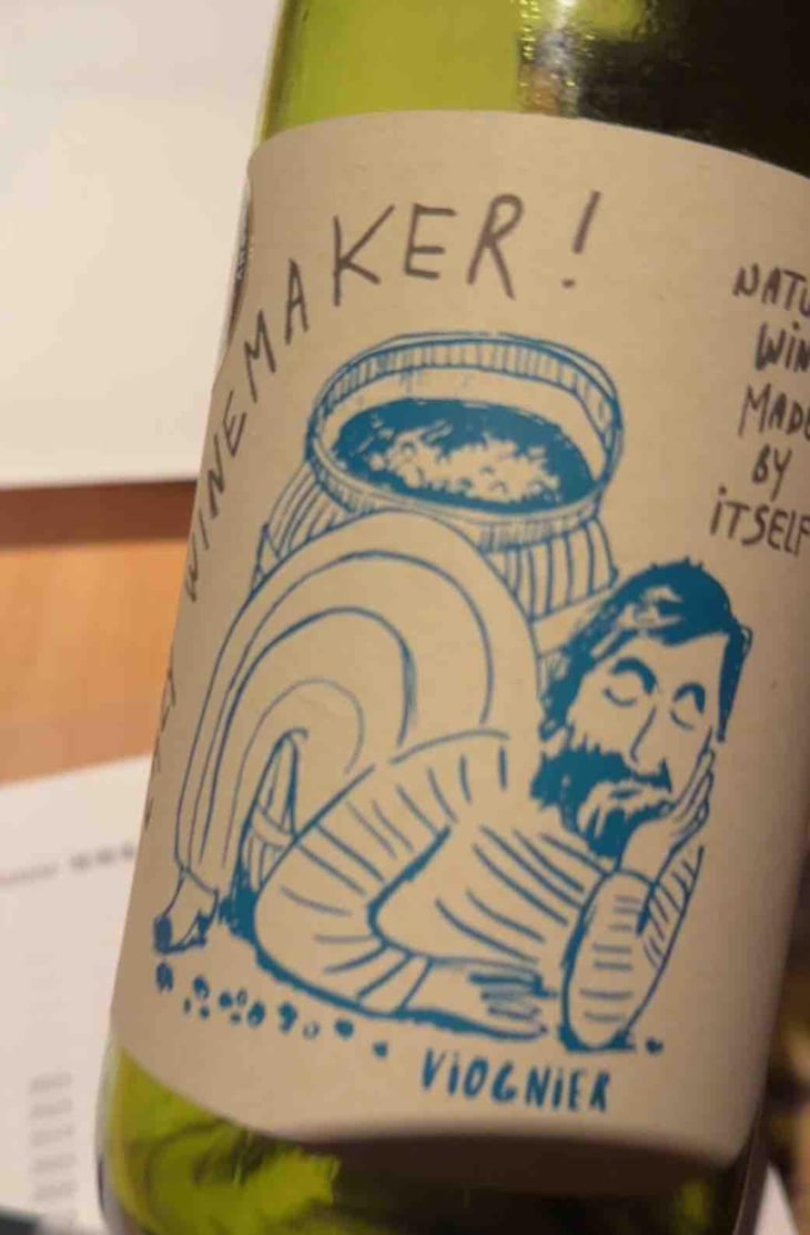 Lazy Winemaker Viognier - Viña Echeverría - Quasar Wines - Roberto, Viviana, Paulina & Diego Echeverría -2022