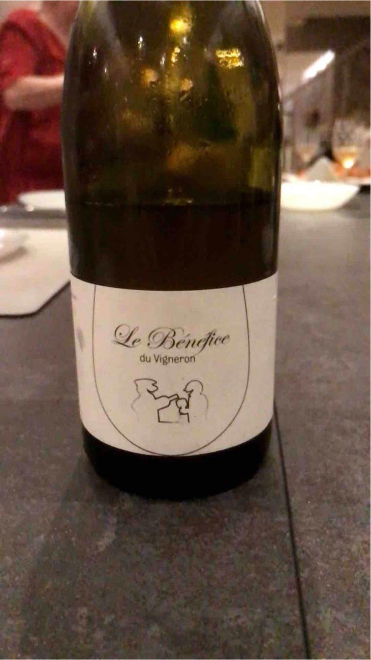 Le Bénéfice du Vigneron - Domaine Thuronis - Vigneron Bien Fêteur - Alexandre Coulange & Astrid Lerouxel 