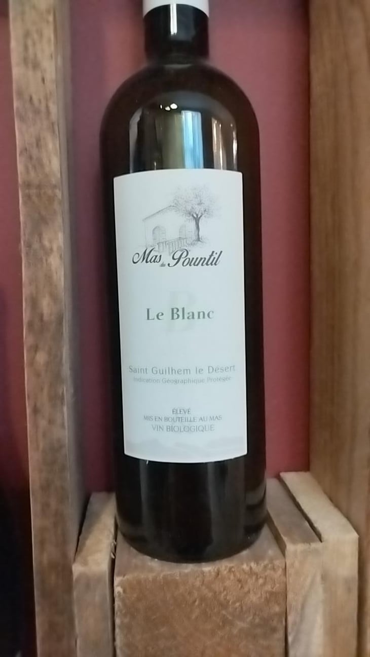 Le Blanc - Mas du Pountil - Angela et Brice Bautou -2020