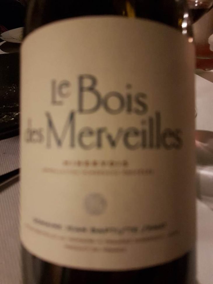 Le Bois Des Merveilles - Jean-Baptiste Senat - Charlotte & Jean-Baptiste Senat 