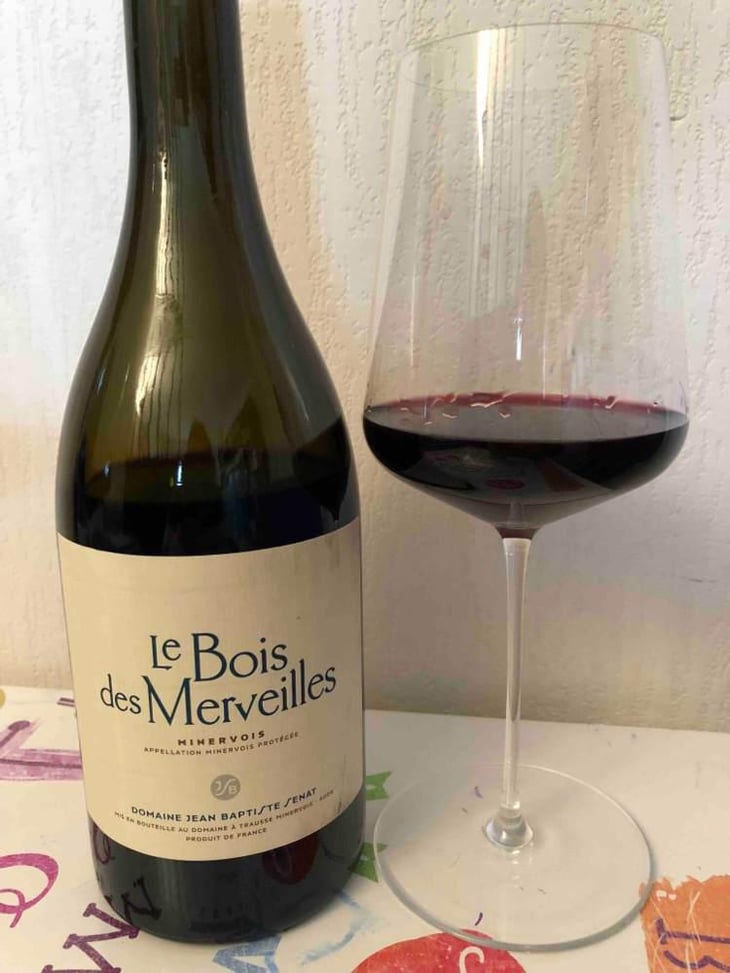 Le Bois Des Merveilles - Jean-Baptiste Senat - Charlotte & Jean-Baptiste Senat 