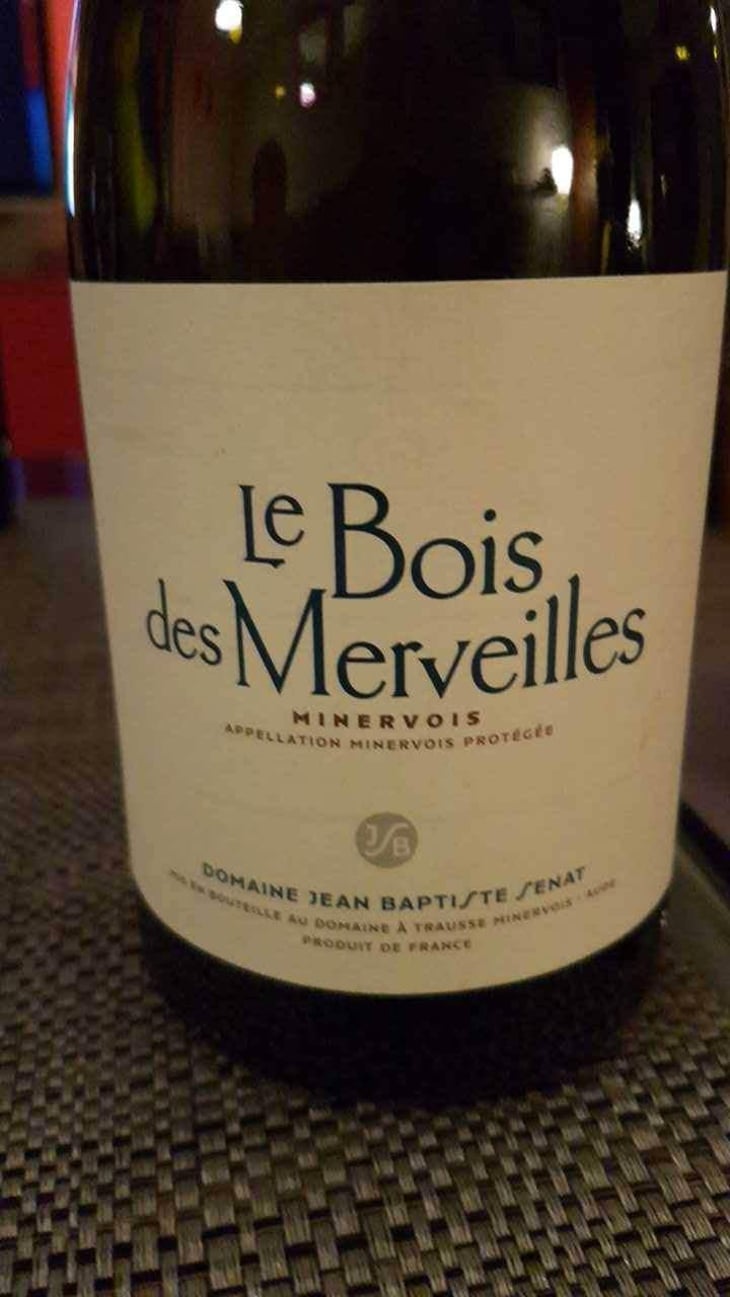 Le Bois Des Merveilles - Jean-Baptiste Senat - Charlotte & Jean-Baptiste Senat 