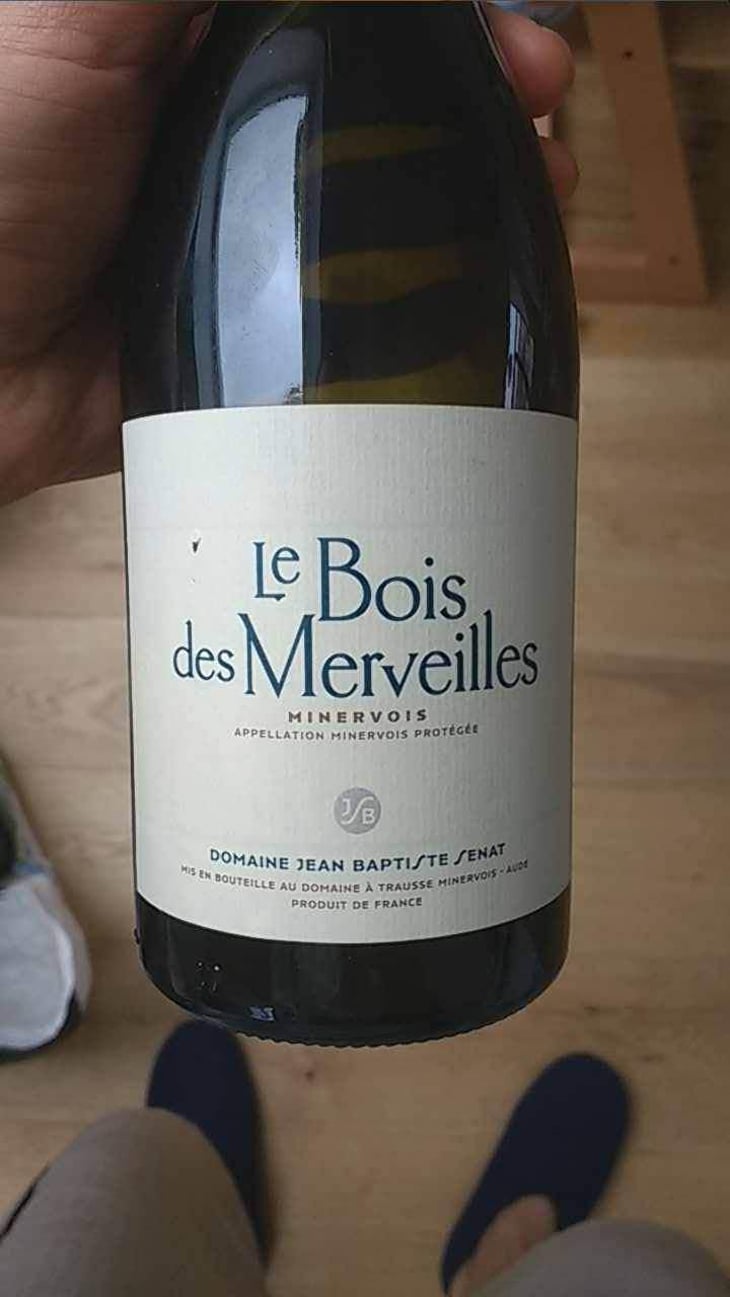 Le Bois Des Merveilles - Jean-Baptiste Senat - Charlotte & Jean-Baptiste Senat 