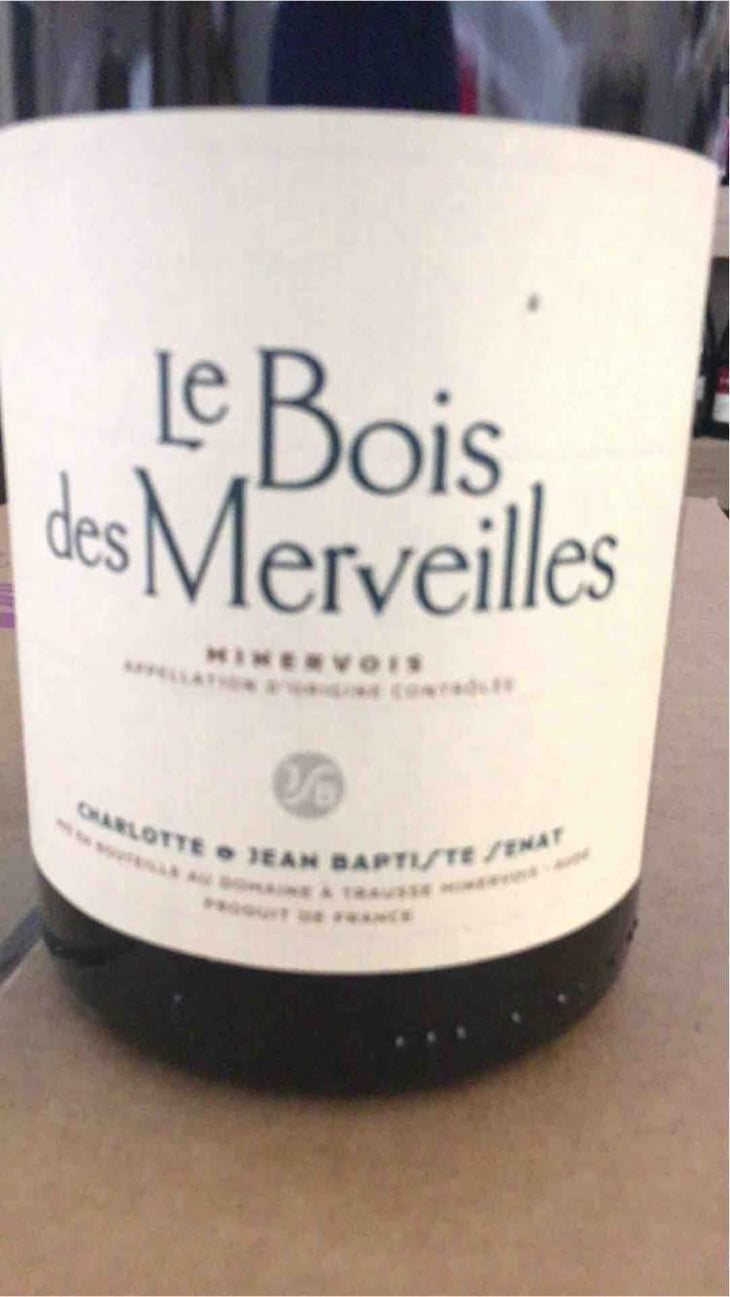 Le Bois Des Merveilles - Jean-Baptiste Senat - Charlotte & Jean-Baptiste Senat 
