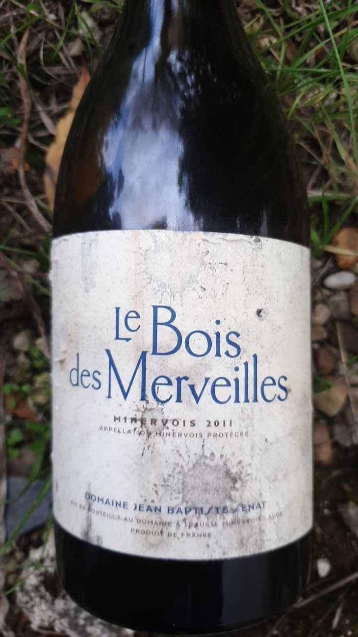 Le Bois Des Merveilles - Jean-Baptiste Senat - Charlotte & Jean-Baptiste Senat 
