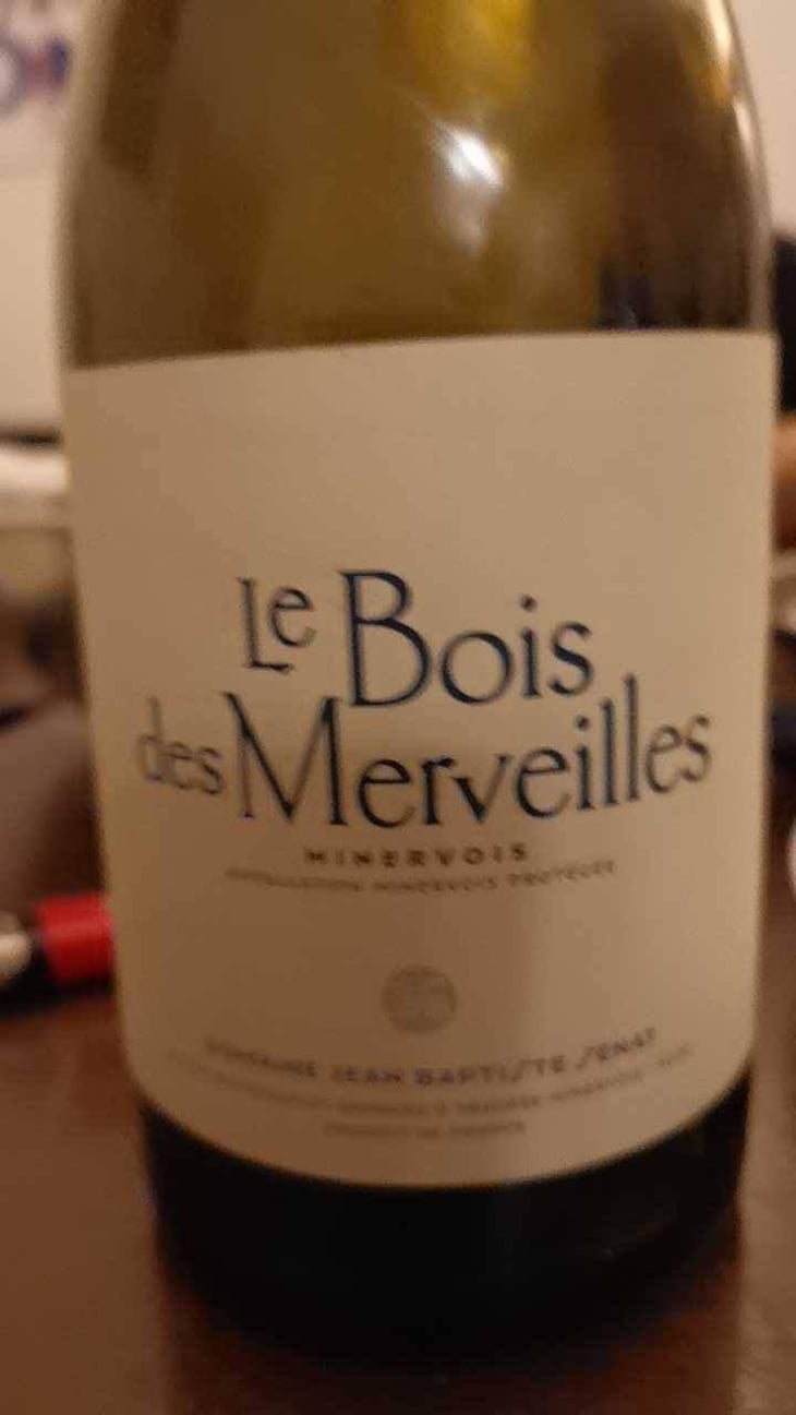 Le Bois Des Merveilles - Jean-Baptiste Senat - Charlotte & Jean-Baptiste Senat 